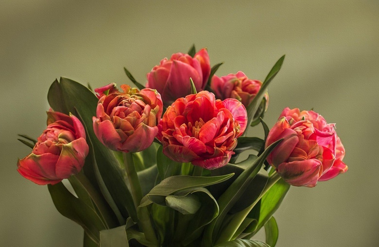 Dzień Pracownika Socjalnego